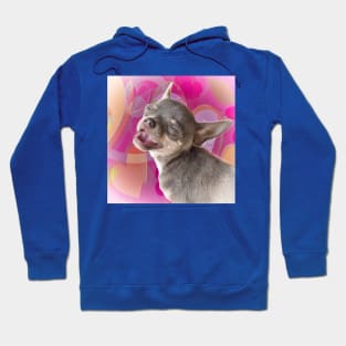 Cheeky Chihuahua Valentines Love Face. Pink hearts. Hoodie